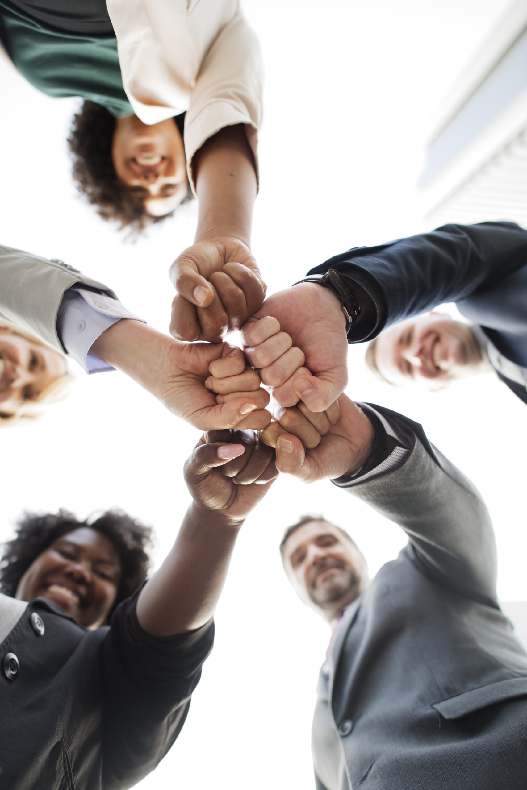 Successful and happy business team - downloaded from freepik.com